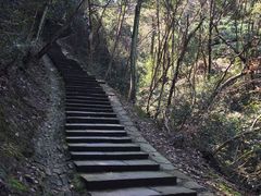 -龙井村