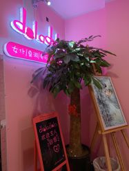 -doladola(徐家汇店)