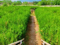 -亲兄弟真人CS团建拓展基地