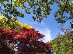 -燕窝岭