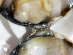 -顺德哥卜卜贝(旗舰店)