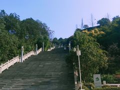 -铁山坪森林公园