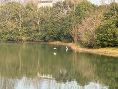 -上海海湾国家森林公园