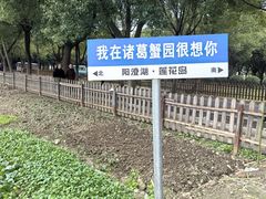 -莲花岛景区