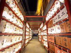 -祥源·阜阳生态乐园