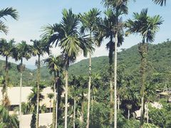 -海南槟榔谷黎苗文化旅游区