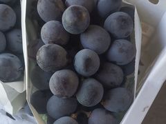 -马陆小张葡萄园农家乐