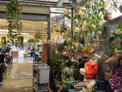 -啰啰冰屋(景洪总店)