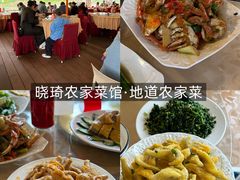 -晓琦农家菜馆·地道农家菜