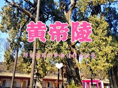 -黄帝陵