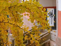 -金堂县云顶石城风景区