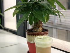 -喜茶(东莞雍华庭店)