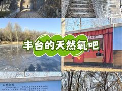 -云岗森林公园