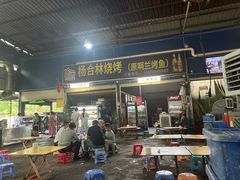 -杨合林啊兰烤鱼