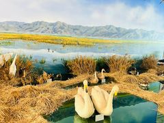 -延庆地质公园博物馆