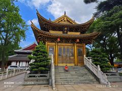 -上海东林寺(金山区)