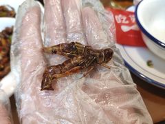 -老崇左特色风味食馆