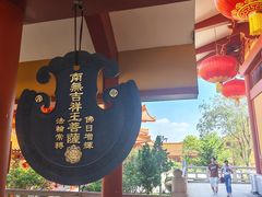-三水森林公园