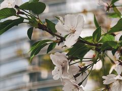 -上海世纪汇广场