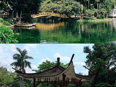 -晓港公园