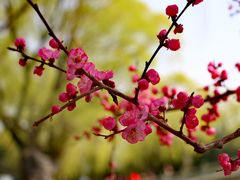 -颐和园