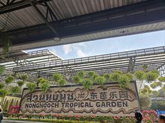 -东芭乐园