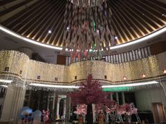 -蜈支洲岛珊瑚酒店临海阁中餐厅