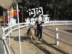 -1982农场