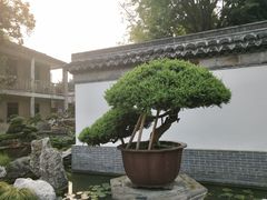 -水绘园