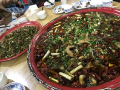 -东吴霸王兔(松青路店)