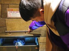 -信不信由你博物馆
