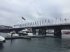 -I'm Angus Steakhouse