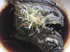 -云中小雅