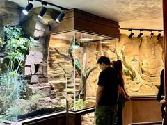 -帕帕拉兹宠物(亚洲旗舰店)