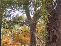 -共青国家森林公园-售票处