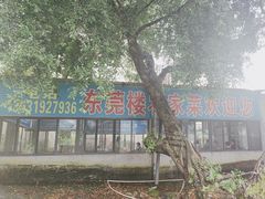 -东莞楼农家菜(金海湾大道分店)