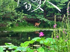 -北京奥林匹克公园