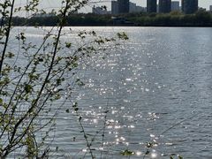 -长白岛森林公园