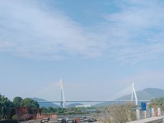 -芒洲湿地公园