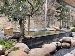 -广州市流溪河国家森林公园