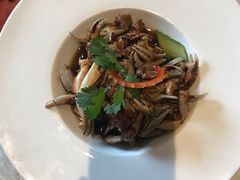 -鑫巴蜀(和平里店)