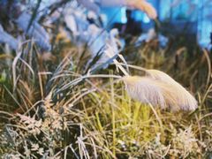 -漩门湾国家湿地公园