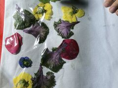 -半山厨·土菜研究院(麓谷店)