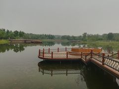 -东郊湿地公园