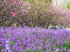 -白塘生态植物园