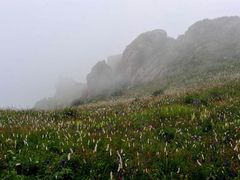 -白草畔自然风景区