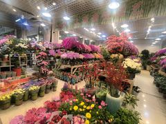 -双季花艺园艺市场(浦东店)