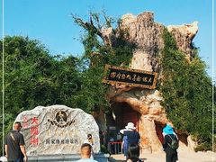 -大槐树寻根祭祖园