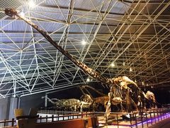 -世界恐龙谷景区