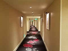 -拉斯维加斯永利酒店